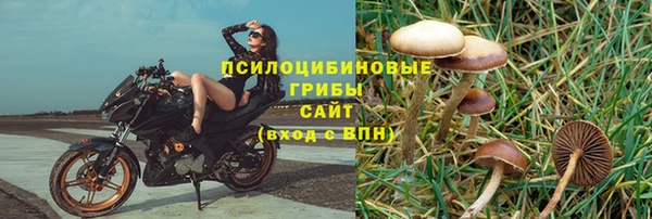 ешки Бабаево
